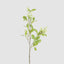 White Berry With Leaf Stem