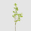 White Berry With Leaf Stem