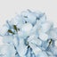 Light Blue Cone Hydrangea 93cm - Pack of 6