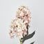 Light Pink Cone Hydrangea 93cm - Pack of 6