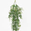 Hanging Kidneywood