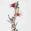 Flowering Gum Dark Red