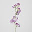 Sweetpea Pink