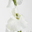 Sweetpea White - Pack of 36