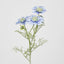 Scabiosa Spray with Buds Light Blue - Pack of 36