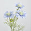 Scabiosa Spray with Buds Light Blue - Pack of 36