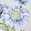 Scabiosa Spray with Buds Light Blue - Pack of 36
