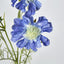 Scabiosa Spray with Buds Dark Blue