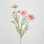 Scabiosa Spray with Buds Pink - Pack of 36