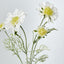 Scabiosa Spray with Buds White - Pack of 36
