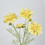 Scabiosa Spray with Buds Yellow - Pack of 36