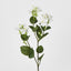 Jasmine Spray 60cm White
