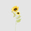 Sunflower Stem With 2 Heads