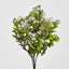 Flowering Bush Blue - Pack of 12