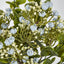 Flowering Bush Blue - Pack of 12