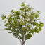 Flowering Bush Blue - Pack of 12