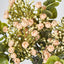 Flowering Bush Pink