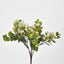 Flowering Bush White