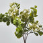 Flowering Bush White