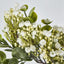 Flowering Bush White