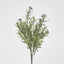 Wild Daisy Bush Purple