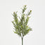 Wild Daisy Bush White