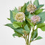 Allium Bush Purple - Pack of 24