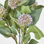 Allium Bush Purple - Pack of 24