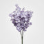 EucalyptusÂ Bush Purple - Pack of 24
