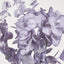 EucalyptusÂ Bush Purple - Pack of 24