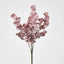 EucalyptusÂ Bush Pink - Pack of 24