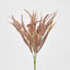 Pampas Grass Bush Pink