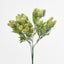 Hop Bush Green