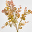 EucalyptusÃ‚Â Bush Yellow