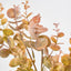 EucalyptusÃ‚Â Bush Yellow