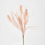 Banksia Bush Pink - Pack of 24