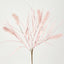 Banksia Bush Pink - Pack of 24