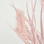 Banksia Bush Pink - Pack of 24