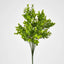 Mini Baby Eucalyptus Bush Green - Pack of 24