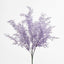 Coral Bush Purple