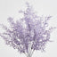 Coral Bush Purple