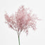 Coral Bush Pink