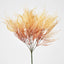 Pampas Grass Bush Orange