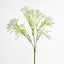 Baby's Breath Spray White - Pack of 24