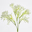 Baby's Breath Spray White - Pack of 24