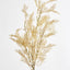 Pampas Grass Bush Cream