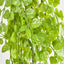 Hanging Buxus Greenery Light Green - Pack of 24