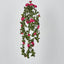 Hanging Rose Bush Dark Pink