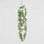 Hanging Rose Bush White