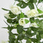 Hanging Rose Bush White